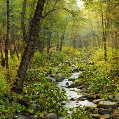 宝威体育app下载