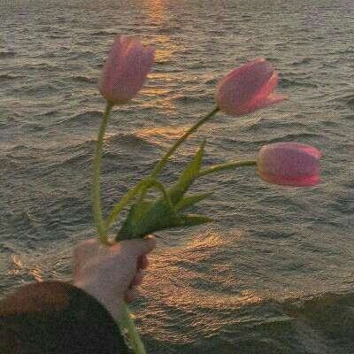 4949澳门免费资料大全手机app下载截图