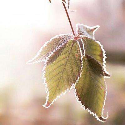 爱游戏(AYX)下载手机版